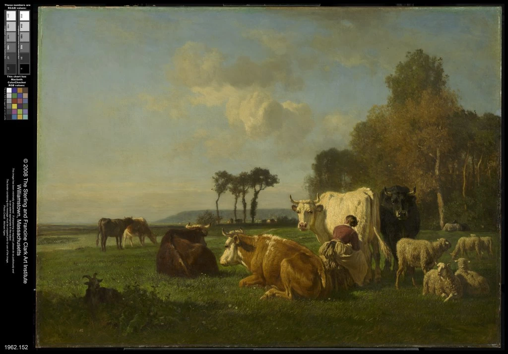 Bovini in un paesaggio - Sterling and Francine Clark Art Institute, Williamstown